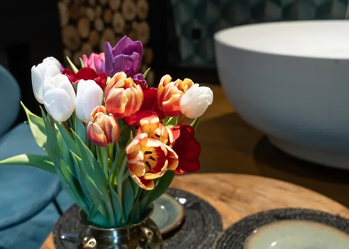 De Luxe Bed &wellness 's-Hertogenbosch (Den Bosch)